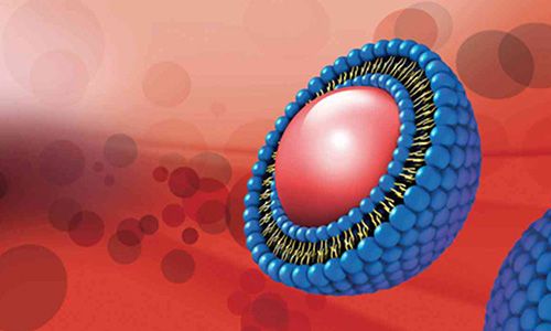 納米粒（籌建中）